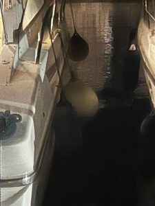 PHOTO-2024-09-12-15-33-33 9